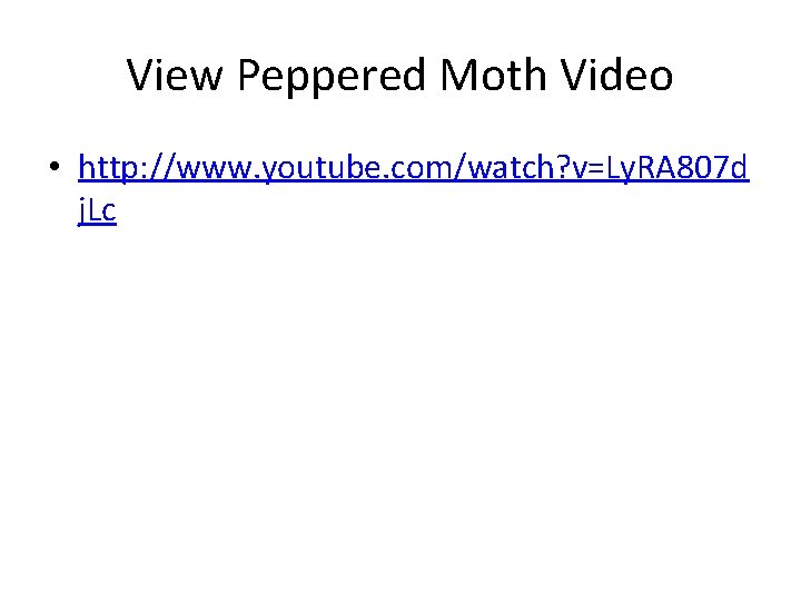 View Peppered Moth Video • http: //www. youtube. com/watch? v=Ly. RA 807 d j.