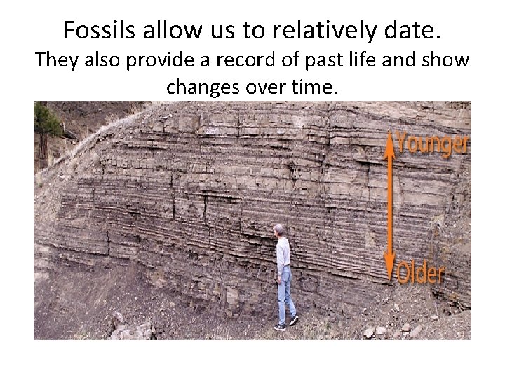 Fossils allow us to relatively date. They also provide a record of past life