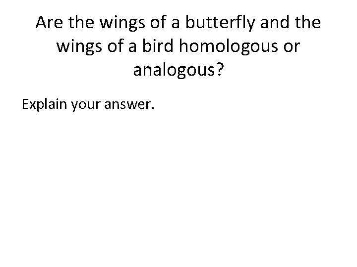 Are the wings of a butterfly and the wings of a bird homologous or