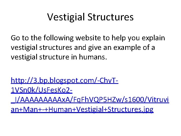 Vestigial Structures Go to the following website to help you explain vestigial structures and