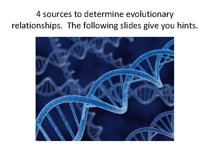 4 sources to determine evolutionary relationships. The following slides give you hints. 