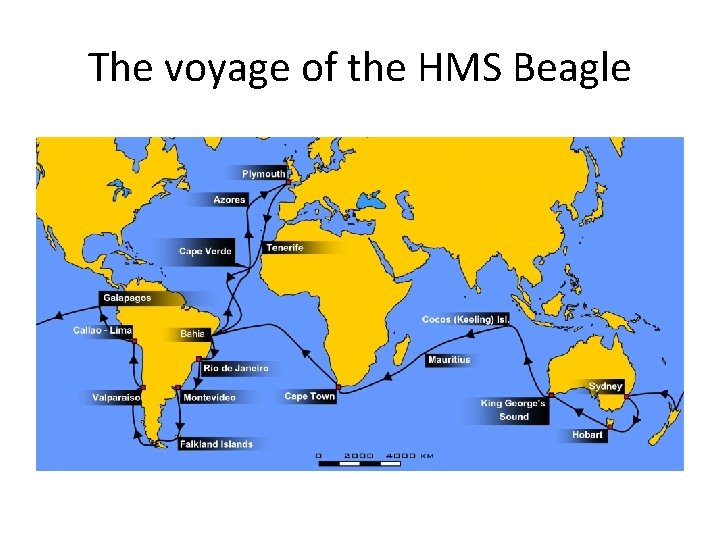 The voyage of the HMS Beagle 