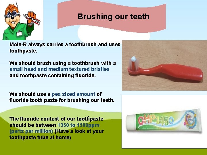 Brushing our teeth Mole-R always carries a toothbrush and uses toothpaste. Brush your teeth