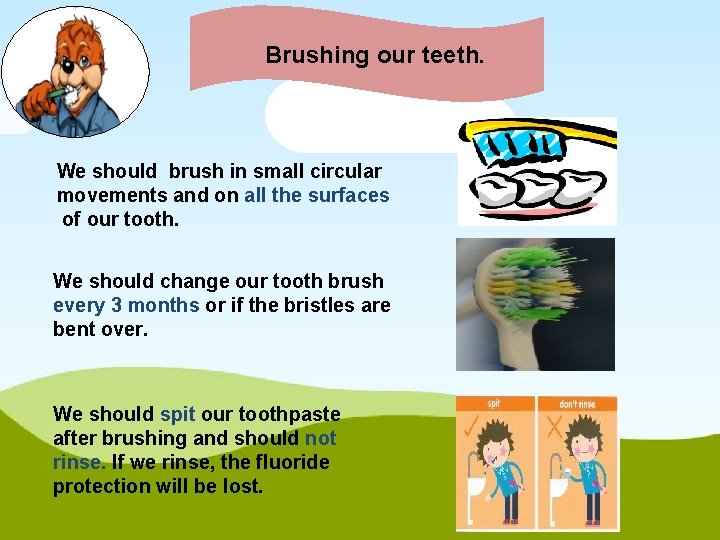 Brushing our teeth. We should brush in small circular movements and on all the