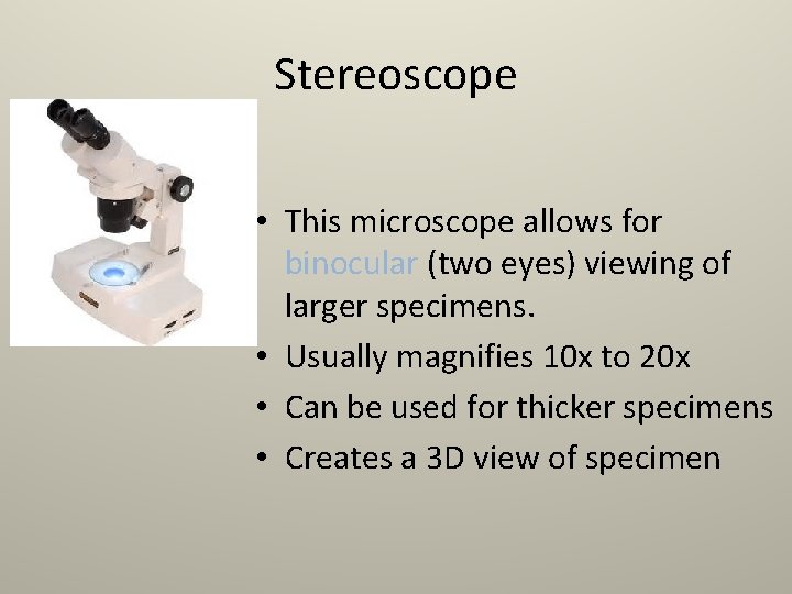 Stereoscope • This microscope allows for binocular (two eyes) viewing of larger specimens. •