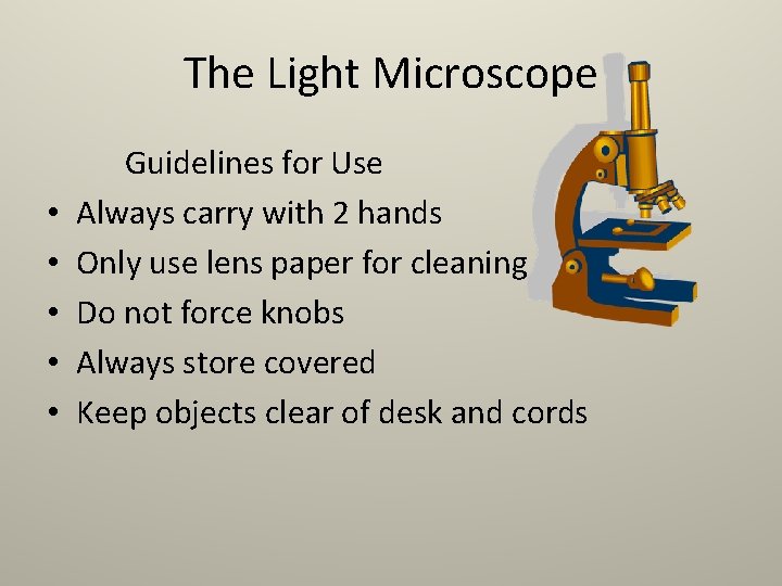 The Light Microscope • • • Guidelines for Use Always carry with 2 hands