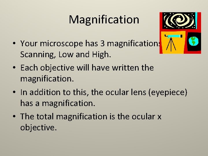 Magnification • Your microscope has 3 magnifications: Scanning, Low and High. • Each objective