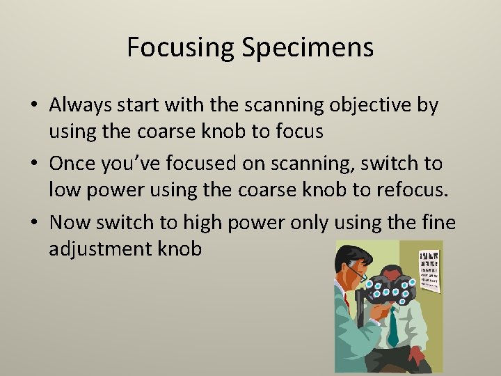 Focusing Specimens • Always start with the scanning objective by using the coarse knob