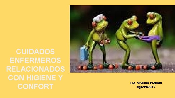 CUIDADOS ENFERMEROS RELACIONADOS CON HIGIENE Y CONFORT Lic. Viviana Plebani agosto 2017 