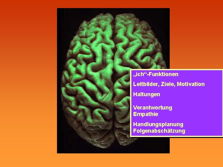 „ich“-Funktionen Leitbilder, Ziele, Motivation Haltungen Verantwortung Empathie Handlungsplanung Folgenabschätzung 