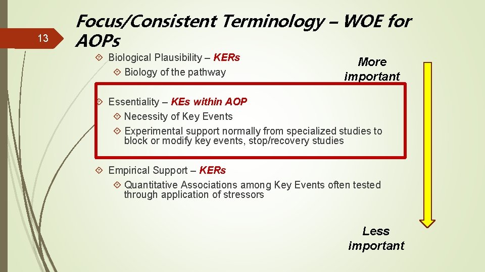 13 Focus/Consistent Terminology – WOE for AOPs Biological Plausibility – KERs Biology of the