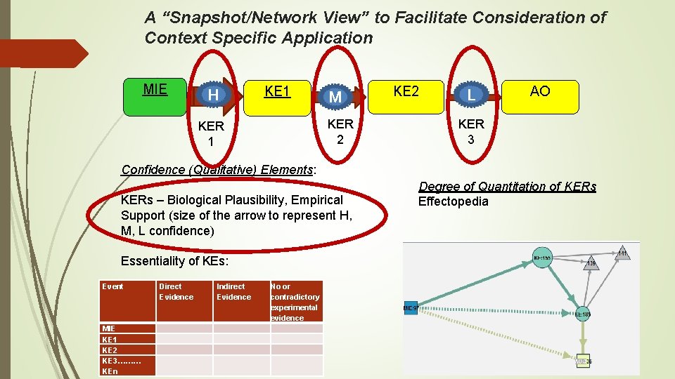 A “Snapshot/Network View” to Facilitate Consideration of Context Specific Application MIE H KE 1