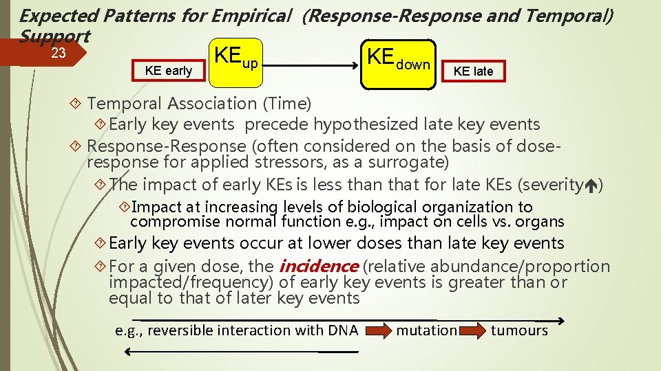 Expected Patterns for Empirical (Response-Response and Temporal) Support 23 KE early KEup KEdown KE