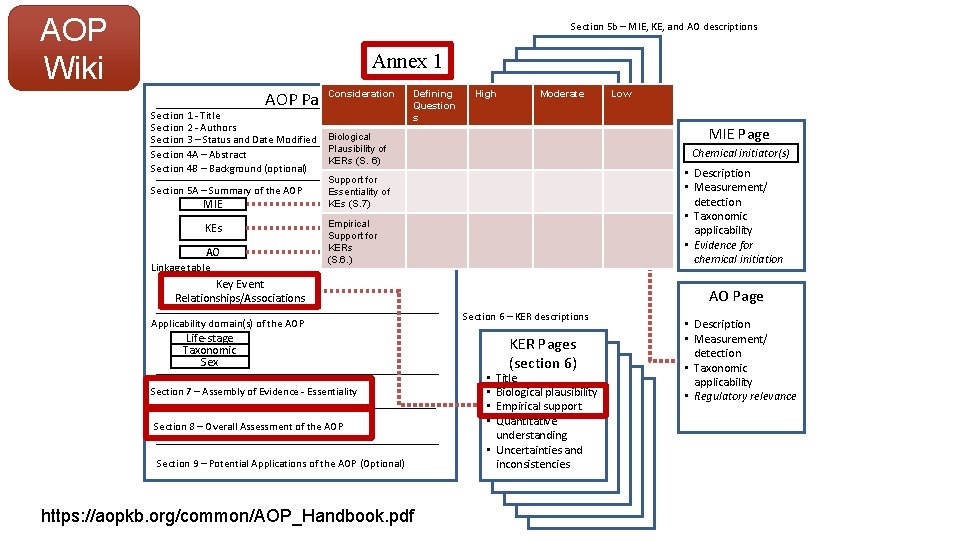 AOP Wiki Section 5 b – MIE, KE, and AO descriptions Annex 1 AOP