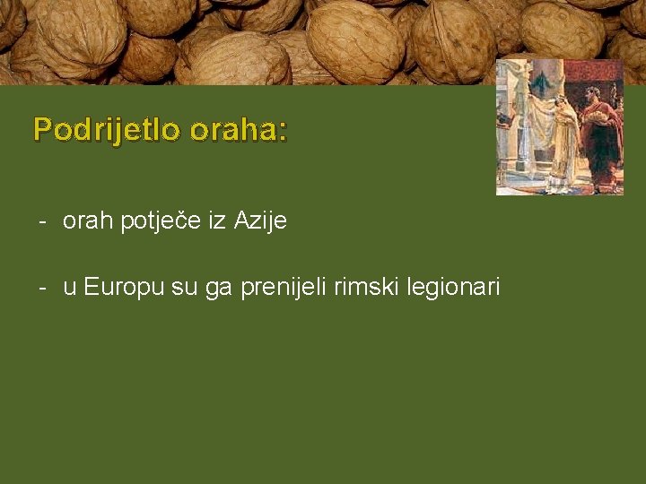 Podrijetlo oraha: - orah potječe iz Azije - u Europu su ga prenijeli rimski