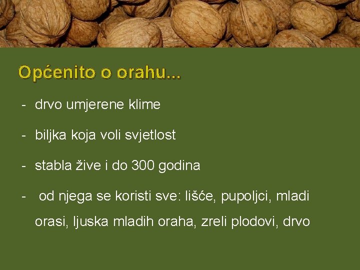 Općenito o orahu. . . - drvo umjerene klime - biljka koja voli svjetlost