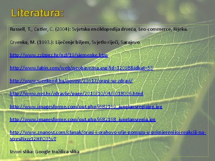 Literatura: Russell, T. , Cutler, C. (2004): Svjetska enciklopedija drveća, Leo-commerce, Rijeka. Crvenka, M.
