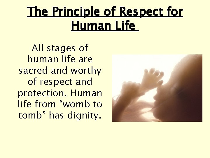 The Principle of Respect for Human Life All stages of human life are sacred The Principle of Respect for Human Life All stages of human life are sacred