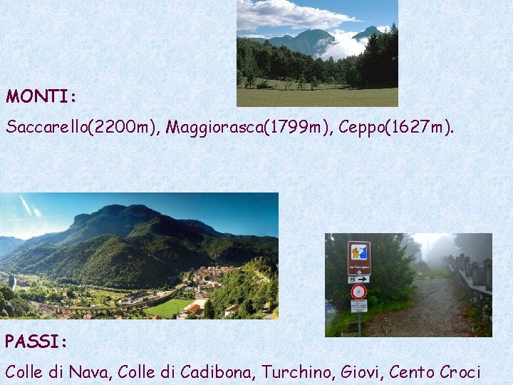 MONTI: Saccarello(2200 m), Maggiorasca(1799 m), Ceppo(1627 m). PASSI: Colle di Nava, Colle di Cadibona,