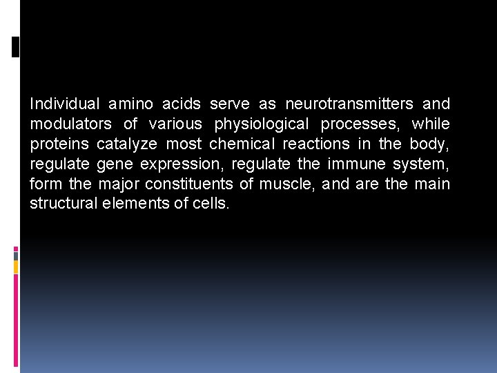 Individual amino acids serve as neurotransmitters and modulators of various physiological processes, while proteins