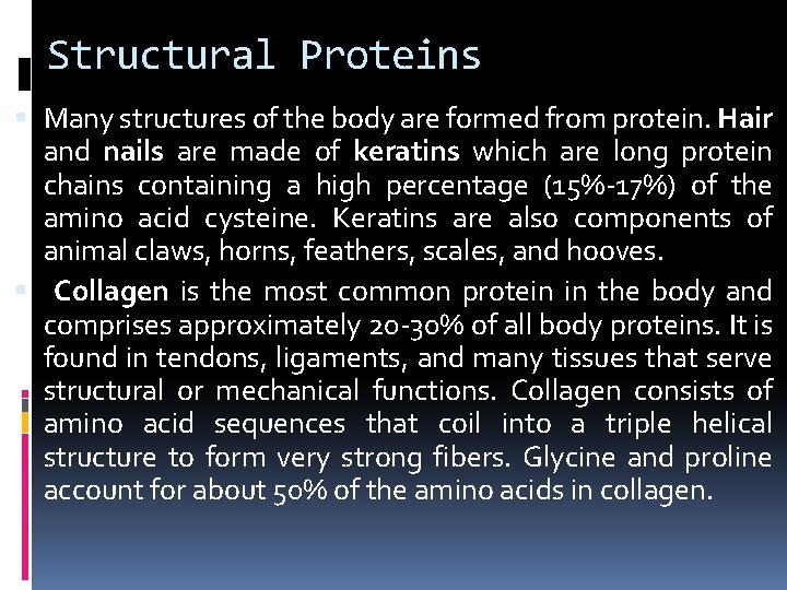 Structural Proteins Many structures of the body are formed from protein. Hair and nails