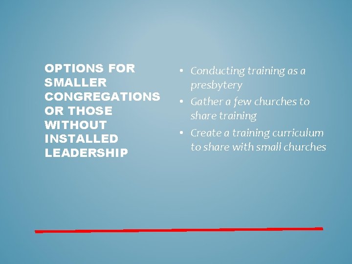 OPTIONS FOR SMALLER CONGREGATIONS OR THOSE WITHOUT INSTALLED LEADERSHIP • Conducting training as a