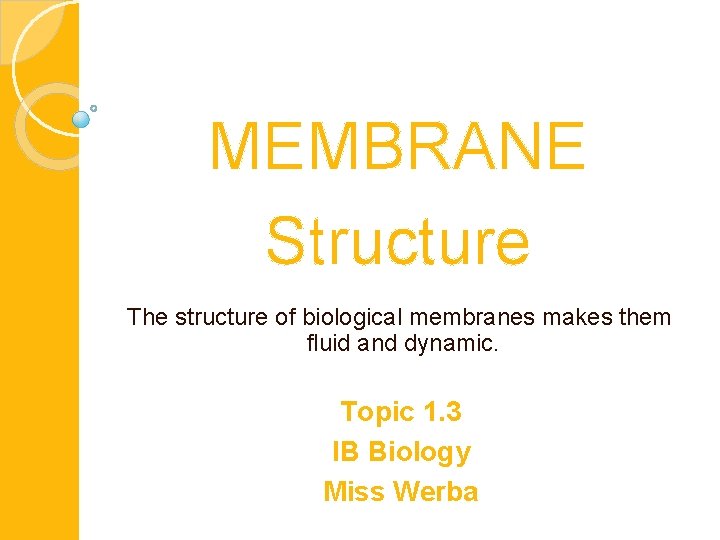 MEMBRANE Structure The structure of biological membranes makes