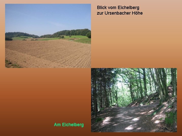 Blick vom Eichelberg zur Ursenbacher Höhe Am Eichelberg 