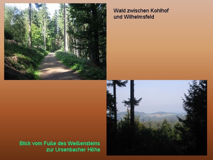 Wald zwischen Kohlhof und Wilhelmsfeld Blick vom Fuße des Weißensteins zur Ursenbacher Höhe 