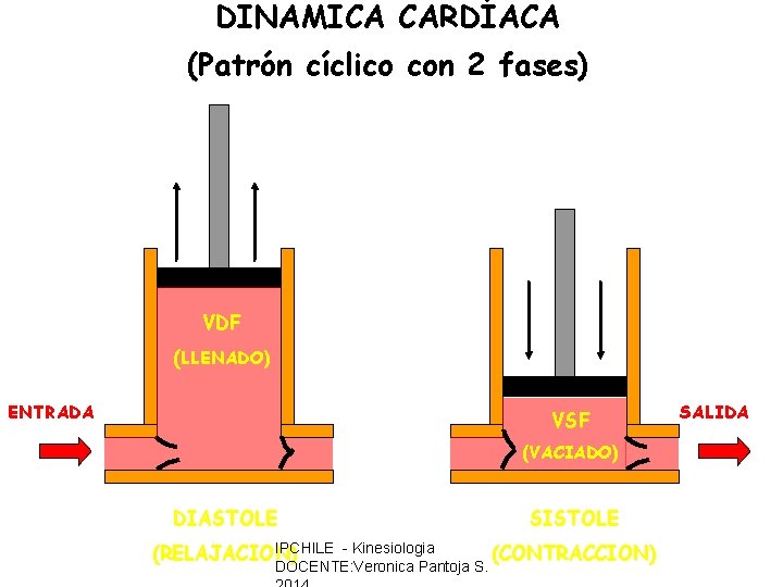 DINAMICA CARDÍACA (Patrón cíclico con 2 fases) VDF (LLENADO) ENTRADA VSF (VACIADO) DIASTOLE IPCHILE