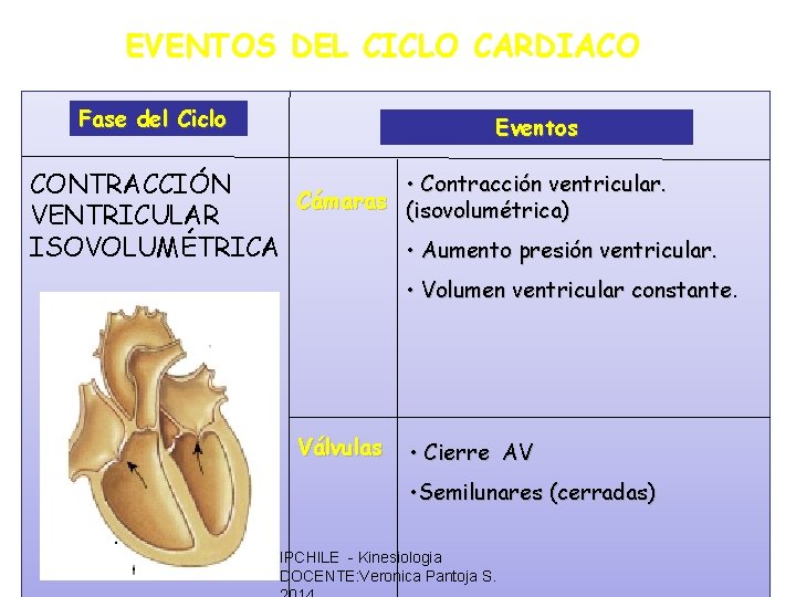 EVENTOS DEL CICLO CARDIACO Fase del Ciclo Eventos • Contracción ventricular. CONTRACCIÓN Cámaras (isovolumétrica)