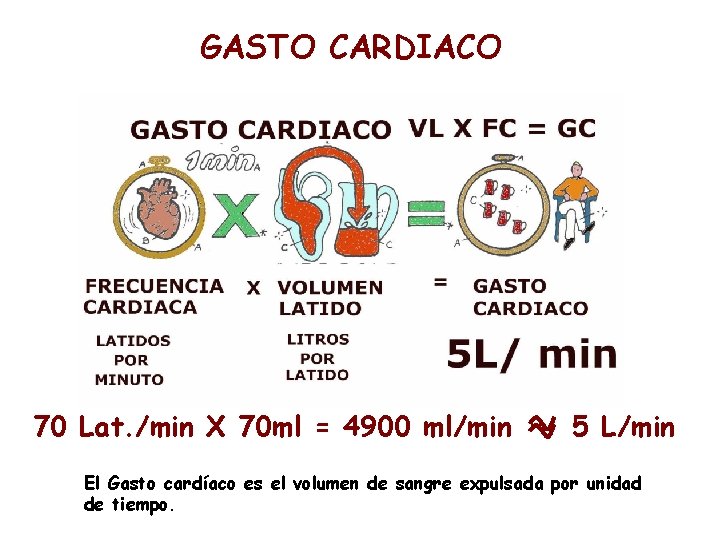 GASTO CARDIACO 70 Lat. /min X 70 ml = 4900 ml/min 5 L/min El