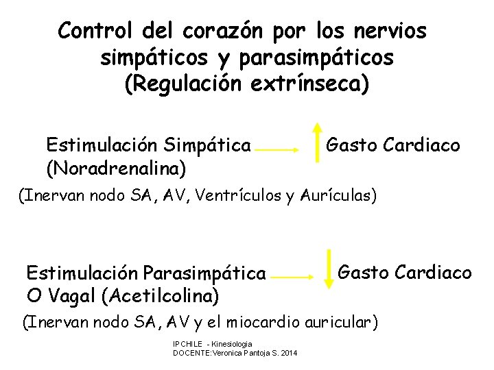 Control del corazón por los nervios simpáticos y parasimpáticos (Regulación extrínseca) Estimulación Simpática (Noradrenalina)