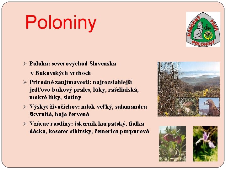 Poloniny Ø Poloha: severovýchod Slovenska v Bukovských vrchoch Ø Prírodné zaujímavosti: najrozsiahlejší jedľovo-bukový prales, Poloniny Ø Poloha: severovýchod Slovenska v Bukovských vrchoch Ø Prírodné zaujímavosti: najrozsiahlejší jedľovo-bukový prales,