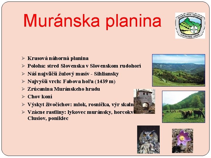 Muránska planina Ø Krasová náhorná planina Ø Poloha: stred Slovenska v Slovenskom rudohorí Ø