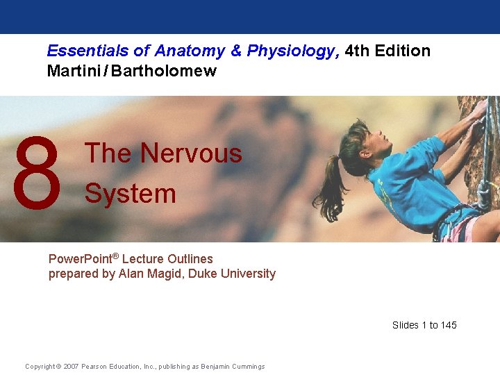 Essentials of Anatomy & Physiology, 4 th Edition Martini / Bartholomew 8 The Nervous