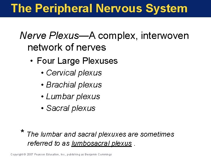 The Peripheral Nervous System Nerve Plexus—A complex, interwoven network of nerves • Four Large