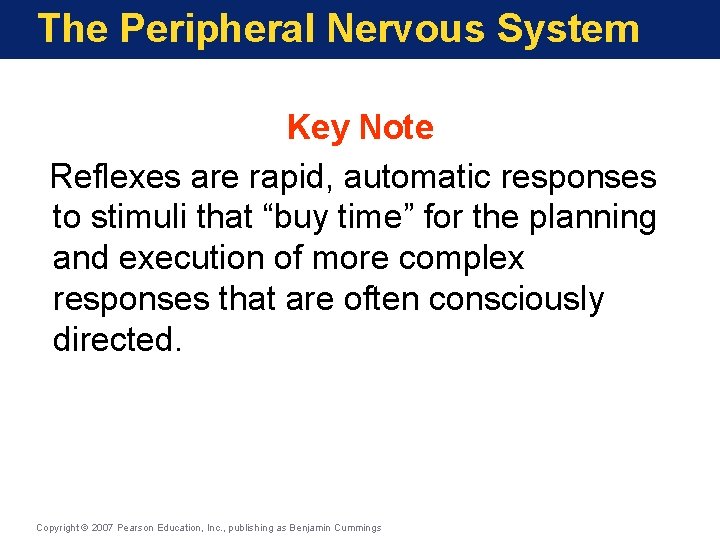 The Peripheral Nervous System Key Note Reflexes are rapid, automatic responses to stimuli that