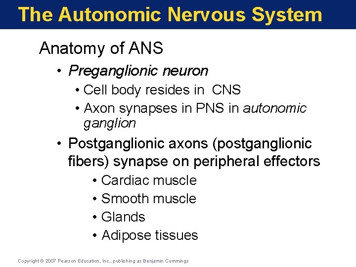 The Autonomic Nervous System Anatomy of ANS • Preganglionic neuron • Cell body resides