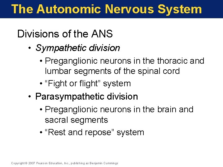 The Autonomic Nervous System Divisions of the ANS • Sympathetic division • Preganglionic neurons