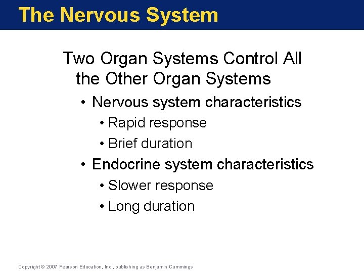 The Nervous System Two Organ Systems Control All the Other Organ Systems • Nervous