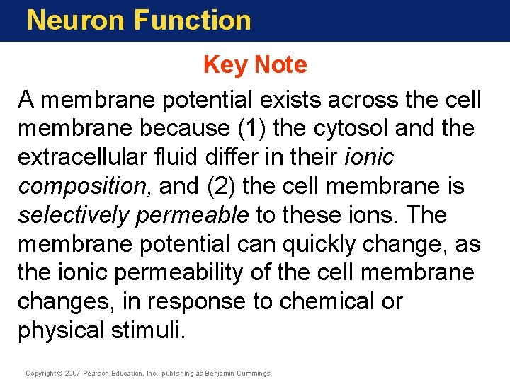 Neuron Function Key Note A membrane potential exists across the cell membrane because (1)