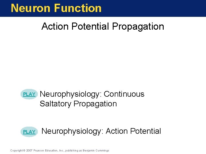 Neuron Function Action Potential Propagation PLAY Neurophysiology: Continuous Saltatory Propagation Neurophysiology: Action Potential Copyright