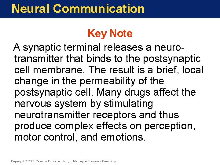 Neural Communication Key Note A synaptic terminal releases a neurotransmitter that binds to the