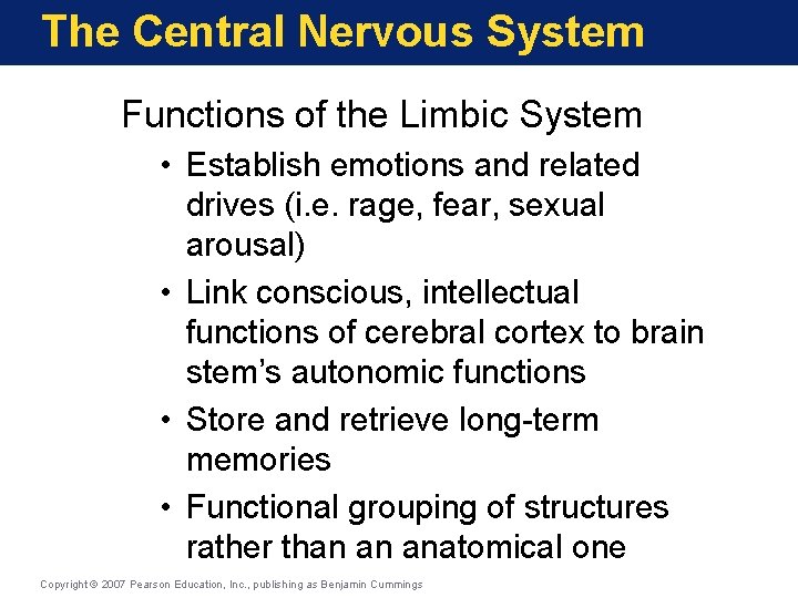 The Central Nervous System Functions of the Limbic System • Establish emotions and related