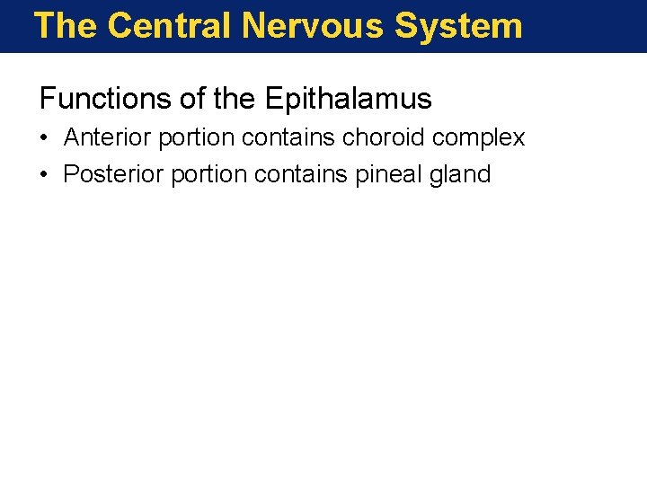 The Central Nervous System Functions of the Epithalamus • Anterior portion contains choroid complex