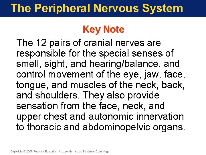 The Peripheral Nervous System Key Note The 12 pairs of cranial nerves are responsible