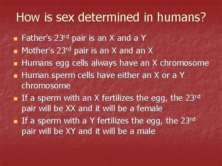 How is sex determined in humans? n n n Father’s 23 rd pair is