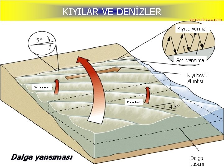 KIYILAR VE DENİZLER Yrd. Doç. Dr. Yaşar EREN Kıyıya vurma Geri yansıma Kıyı boyu