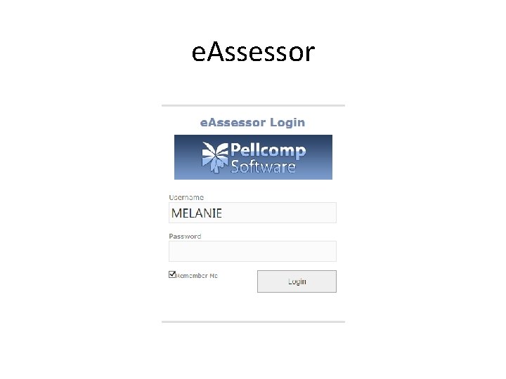 e. Assessor 